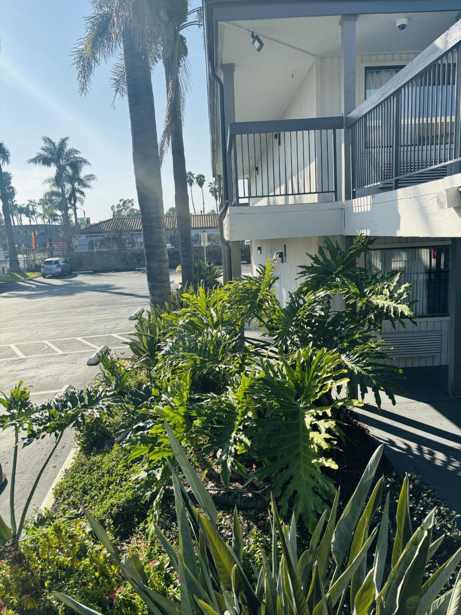 Motel 6-Santa Ana, Ca מראה חיצוני תמונה